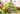 JUHAN Thalassa Ornate Greenery Simulation Plant Arrangement Decor from JUHAN