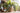 JUHAN Thalassa Ornate Greenery Simulation Plant Arrangement Decor from JUHAN