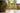 JUHAN Thalassa Ornate Greenery Simulation Plant Arrangement Decor from JUHAN