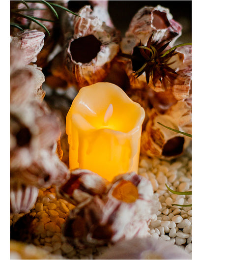 JUHAN Valentina Atmospheric Realistic Candle Layout from JUHAN
