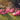 LEDONG Kyoto Cozy Waterproof Outdoor Bean Bag Sofa from LEDONG