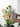 LIVETAI Adriano Elegant Golden Border Glass Cup from LIVETAI