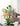 LIVETAI Adriano Elegant Golden Border Glass Cup from LIVETAI