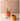 LIVETAI Aisling Modern Scandinavian Aesthetic Flower Pot Decoration from LIVETAI