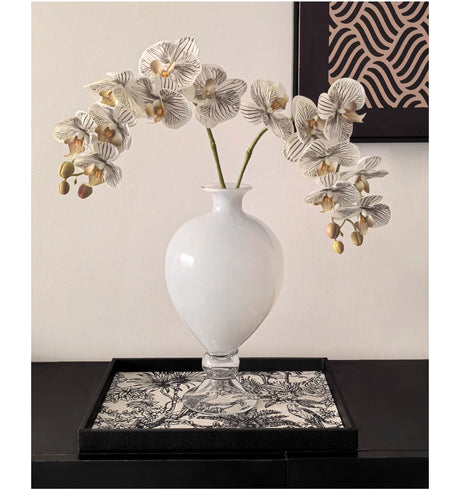 LIVETAI Amelie Elegant Retro Hydroponic Glass Vase from LIVETAI