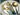 LIVETAI Aria Golden Light Luxury Dessert Set from LIVETAI