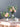 LIVETAI Athos Elegant Transparent Flowerpot Small Vase from LIVETAI