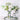LIVETAI Athos Elegant Transparent Flowerpot Small Vase from LIVETAI