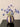 LIVETAI Callidora Elegant Glass Vase Dining Table Centerpiece from LIVETAI