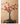LIVETAI Celestine Exotic Nutty Delight Simulation Snack from LIVETAI