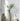 LIVETAI Elowen Elegant Transparent Floral Vase from LIVETAI