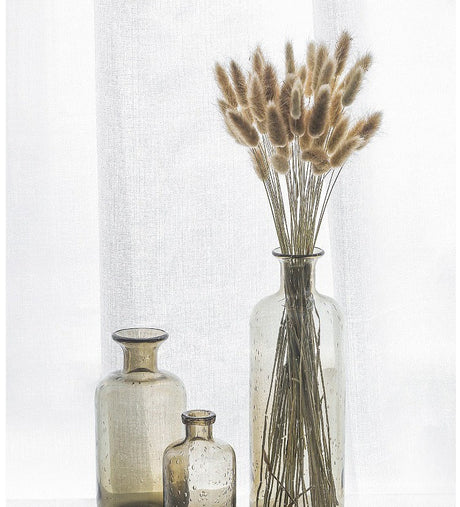 LIVETAI Elowen Elegant Transparent Floral Vase from LIVETAI