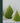 LIVETAI Isadora Scented Festive Decorative Candle from LIVETAI