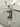 LIVETAI Isolde Charming Natural Conch Fork from LIVETAI
