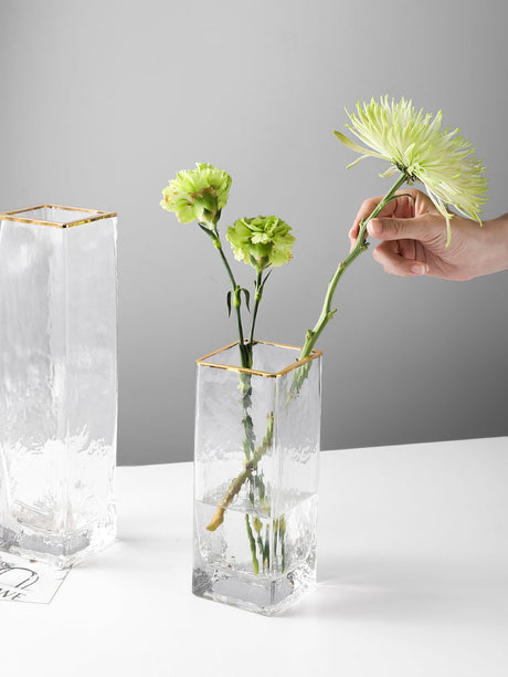 LIVETAI Isolde Majestic Hammered Design Hyper-Transparent Hydroponic Pot from LIVETAI