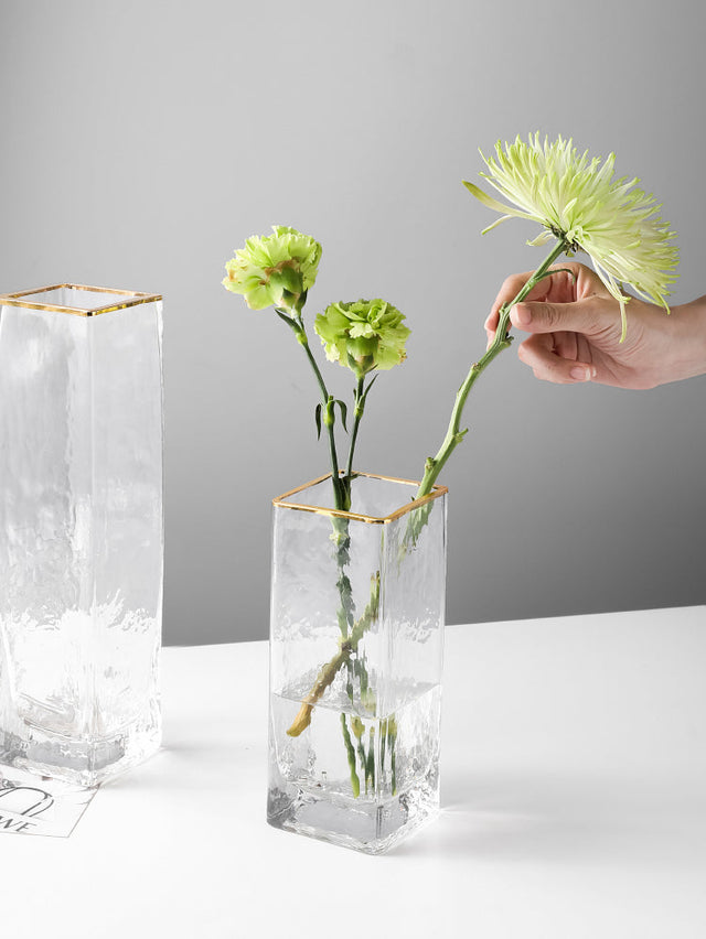 LIVETAI Isolde Majestic Hammered Design Hyper-Transparent Hydroponic Pot from LIVETAI