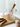 LIVETAI Jisoo Precision Glass Baking Cup from LIVETAI