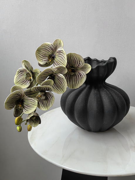 LIVETAI Marcellus Elegant Three-Dimensional Phalaenopsis Flower Arrangement from LIVETAI