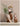 LIVETAI Marigold Elegant Scandinavian Living Room Light Luxury Decor from LIVETAI