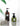 LIVETAI Marisol Compact Travel Sanitizer Set Bottle from LIVETAI