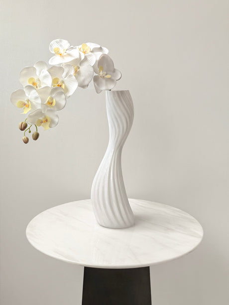 LIVETAI Marisol Elegant Modern Glass Vase from LIVETAI
