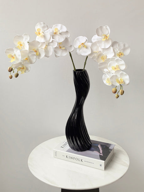 LIVETAI Marisol Elegant Modern Glass Vase from LIVETAI