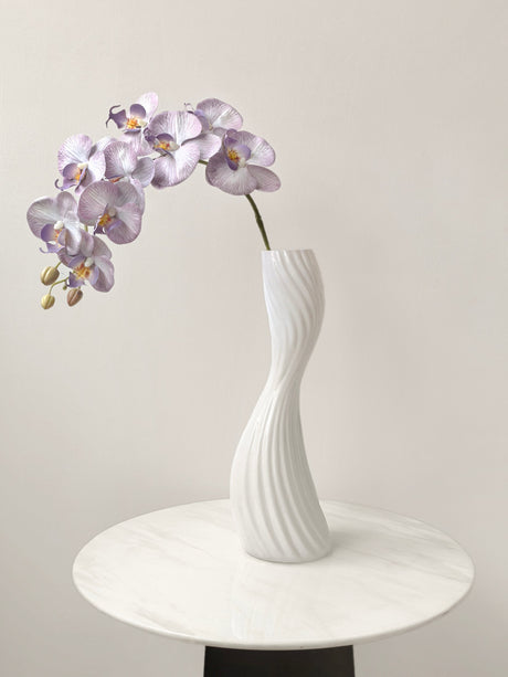 LIVETAI Marisol Elegant Modern Glass Vase from LIVETAI