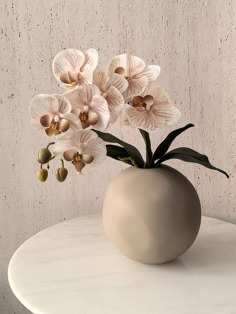 LIVETAI Marisol Elegant Round Ceramic Vase from LIVETAI