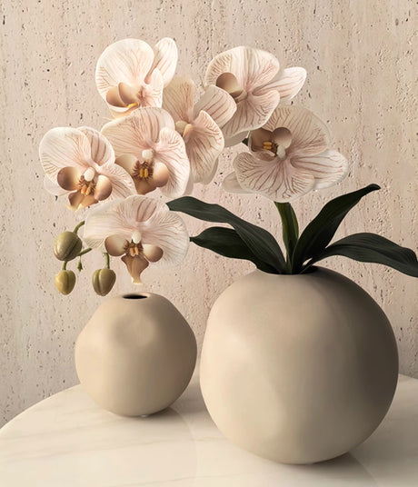 LIVETAI Marisol Elegant Round Ceramic Vase from LIVETAI