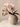 LIVETAI Marisol Elegant Round Ceramic Vase from LIVETAI