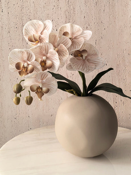 LIVETAI Marisol Elegant Round Ceramic Vase from LIVETAI