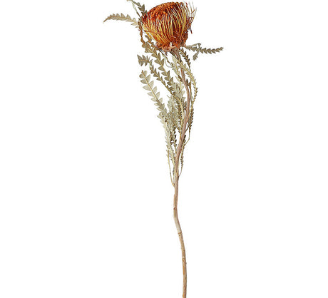 LIVETAI Marisol Whimsical Dry Flower Bouquet Decor from LIVETAI