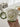 LIVETAI Santiago Elegant Ceramic Dim Sum Set from LIVETAI
