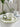 LIVETAI Santiago Elegant Ceramic Dim Sum Set from LIVETAI