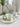 LIVETAI Santiago Elegant Ceramic Dim Sum Set from LIVETAI