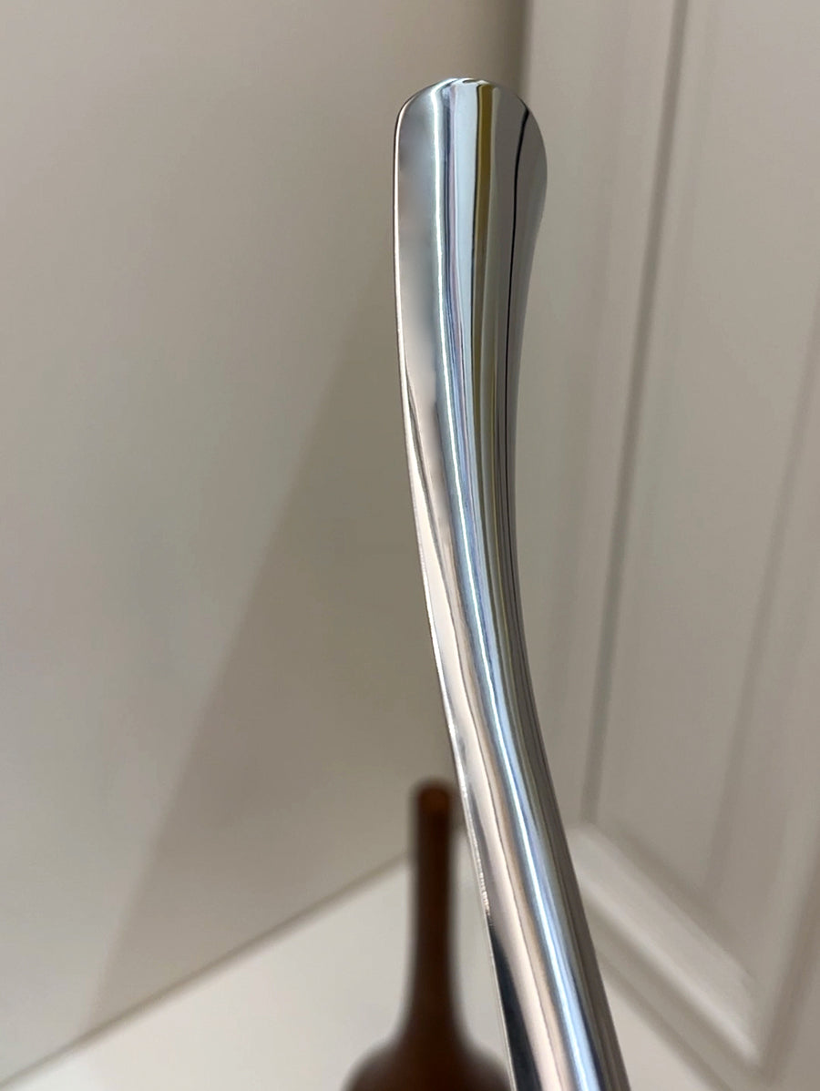 LIVETAI Santiago Elegant Long-Handled Shoe Lifting Artifact from LIVETAI