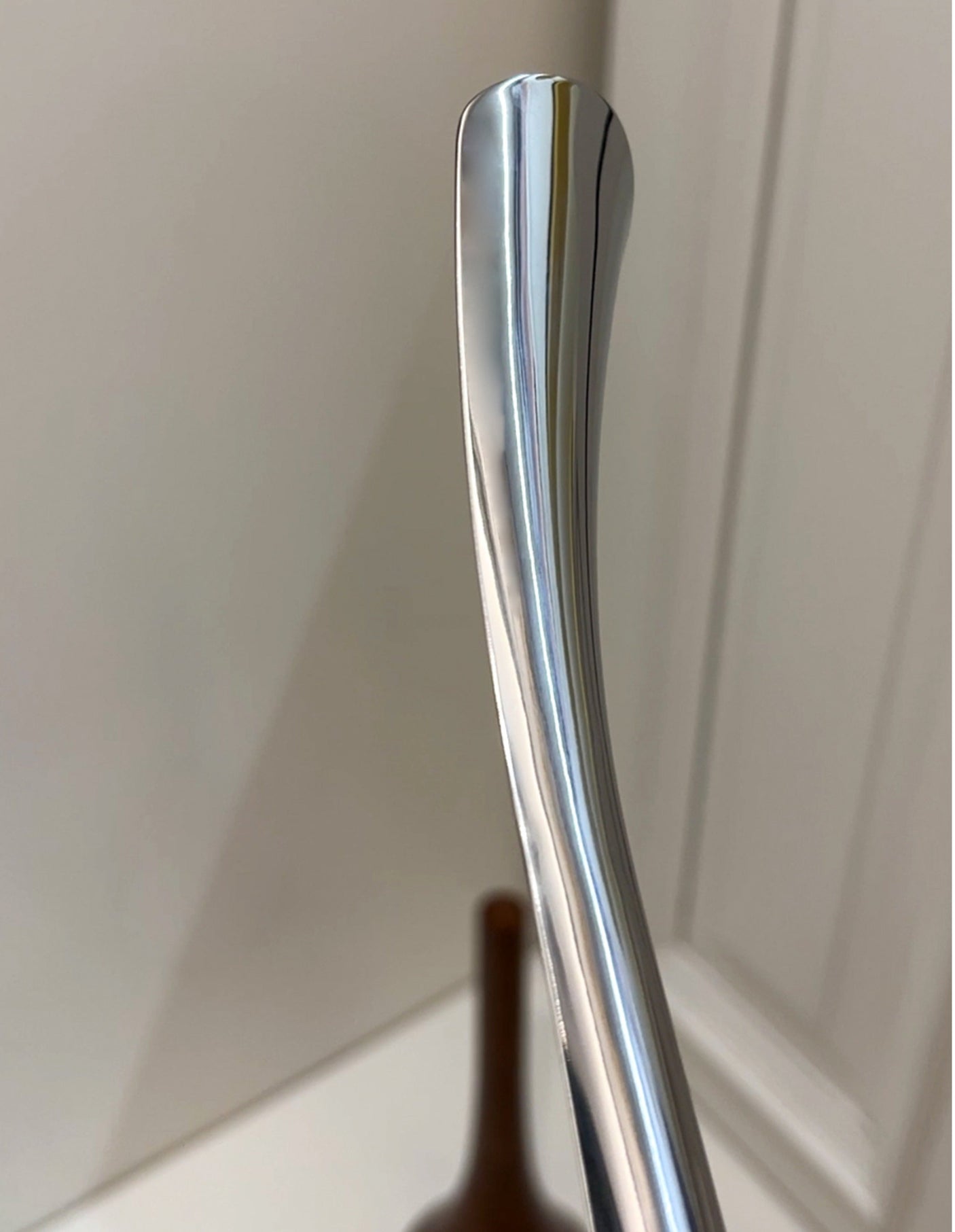 LIVETAI Santiago Elegant Long-Handled Shoe Lifting Artifact from LIVETAI