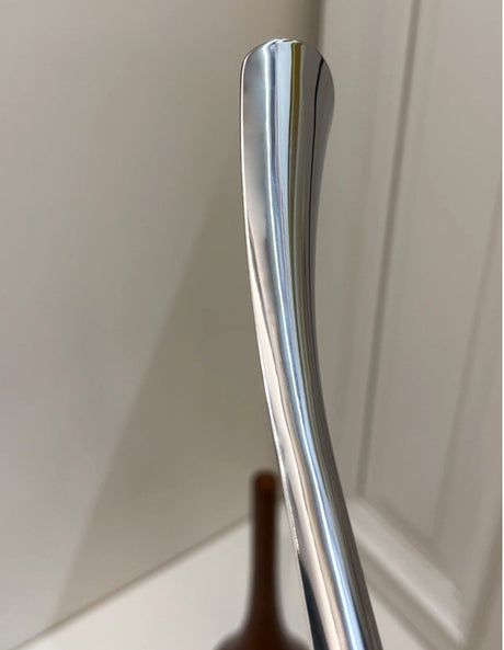 LIVETAI Santiago Elegant Long-Handled Shoe Lifting Artifact from LIVETAI