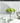 LIVETAI Sapporo Sleek Stainless Steel Dessert Bowl from LIVETAI