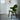 MAGICIANS HOUSE Isadora Chic Modern Glass Dining Chair from MAGICIANS HOUSE