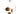 MAILANG Akihiko Modern Elegant Ceiling Light Fixture from MAILANG
