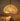 MAILANG Haruka Elegant Woven Ceiling Lamp from MAILANG