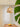 MAILANG Haruki Elegant Retro Light Strip - Ceiling Lamp from MAILANG