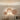 MAILANG Haruki Elegant Retro Wall Sconce from MAILANG