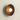 MAILANG Kenji Elegant Modern Ceiling Lamp from MAILANG
