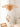 MAILANG Takamatsu Elegant Rattan Ceiling Lamp from MAILANG