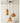 MAILANG Yuzuki Elegant LED Ceiling Lamp from MAILANG