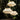 MAILANG Zephyra Elegant Woven Ceiling Lamp from MAILANG