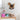 MANDELA Quintero Adorable Silent Swing Clock for Kids from MANDELA