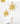 MANDELA Yuki Minimalist Elegant Wall Clock from MANDELA